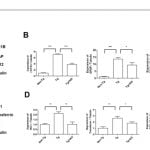 La Electro-Acupuntura atenúa la alteración cognitiva en un modelo animal de Enf. Alzheimer vía su efecto anti-neuroinflamación.