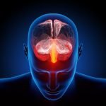Modulación de la velocidad del flujo sanguíneo cerebral y eficacia clínica de la acupuntura para el vértigo del infarto de circulación posterior: una revisión sistemática y un metanálisis. (Li B, et al.,2022)