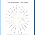 Análisis sobre la selección y combinación de puntos de acupuntura para la esclerosis lateral amiotrófica tratada con acupuntura basado en la minería de datos (Xu J, et al.,2022)