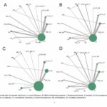 Eficacia comparativa de las terapias de acupuntura en la insuficiencia ovárica prematura: una revisión sistemática y un metaanálisis en red (Yi, Y et al., Complement Ther Med 2025).