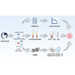 Eficacia clínica y mecanismo terapéutico de la acupuntura en el tratamiento de la depresión adolescente. (Jiang J et al. J Integr Neurosci. 2025)