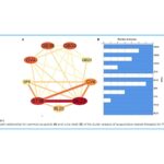 Efecto de la acupuntura en modelos animales de osteoporosis posmenopáusica: un metaanálisis y un enfoque de minería de datos (Yu G et al., Front Endocrinol (Lausanne). 2025)