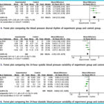El efecto de la acupuntura sobre la presión arterial ambulatoria de 24 horas y el ritmo circadiano en pacientes con hipertensión esencial: una revisión sistemática y metaanálisis de ensayos clínicos aleatorizados. (Gao H et al. Blood Press. 2026)