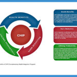 Evaluación económica de la acupuntura en el tratamiento de pacientes con dolor y problemas de salud mental: resultados del Proyecto de Integración de Salud Complementaria de Alberta (ABCHIP) (Lu M et al. Front Public Health. 2024)