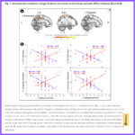 La actividad de las redes sensoriales cerebrales subyace a la reducción del dolor nociceptivo iniciado y del dolor nociplástico mediante acupuntura en la fibromialgia (Sridhar A et al. Commun Med (Lond). 2026)