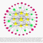 La acupuntura mejora la ansiedad y la depresión en pacientes con síndrome de ovario poliquístico: una revisión sistemática y metaanálisis. (Ye R et al. Front Med (Lausanne). 2026)