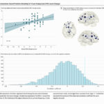 Acupuntura para la migraña sin aura y predicción de la eficacia basada en la conectividad cerebral: un ensayo clínico aleatorizado. (Zhang X et al. JAMA Netw Open. 2026)