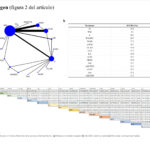 Eficacia y seguridad comparativas de la acupuntura para el síndrome perimenopáusico: una revisión sistemática y metaanálisis en red. (Yang X et al. Front Neurol. 2026)