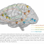 Evidencia de neuroimagen sobre la acupuntura en el deterioro cognitivo tras ictus isquémico: una revisión sistemática. (Qin C et al. Front Neurosci. 2026)