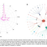 Minería de datos de prescripciones de acupuntura para la epicondilitis lateral: análisis bibliográfico de patrones y parámetros de puntos de acupuntura (Xu Y et al. J Pain Res. 2026)
