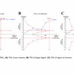 Eficacia y seguridad de la acupuntura para el dolor en el cáncer de pulmón no microcítico: un metaanálisis (Liu J et al. J Pain Res. 2026)
