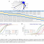 Revisión sistemática y metaanálisis en red de las modalidades óptimas de acupuntura para la disfunción motora del miembro superior tras ictus (Ye H et al. Front Neurol. 2026)