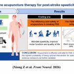 Acupuntura para la espasticidad postictus: revisión sistemática y metaanálisis exploratorio en red de la eficacia clínica y la relación dosis-respuesta (Xiong Z et al. Front Neurol. 2026)