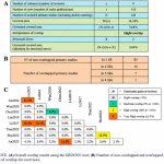 Acupuntura para las náuseas y los vómitos durante el embarazo: revisión de revisiones sistemáticas (Cui J et al. Front Endocrinol (Lausanne). 2026)