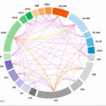 Efecto de la estimulación de puntos de acupuntura como tratamiento complementario del trastorno obsesivo-compulsivo: revisión sistemática y metaanálisis (Yang J et al. Front Neurol. 2026)