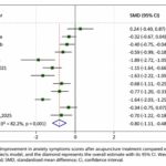 Eficacia y seguridad de la acupuntura para los trastornos de ansiedad en adultos: revisión sistemática y metaanálisis (Wang D et al. Psychiatry Investig. 2026)
