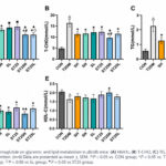 La electroacupuntura permite reducir la dosis de semaglutida en la diabetes tipo 2 al aumentar la concentración del fármaco y suprimir la apoptosis de las células beta. (Yang X et al. Front Endocrinol (Lausanne). 2026)