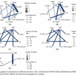 ¿Las terapias relacionadas con los puntos auriculares mejoran la rehabilitación después de una artroplastia total de rodilla? Revisión sistemática y metaanálisis en red (Mi Q et al. Pain Res Manag. 2026)
